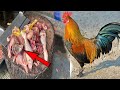 Desi Chicken Cutting Skill Fresh Chicken Cutting Chicken Cutting