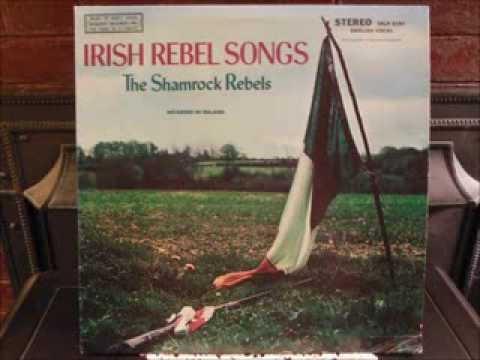 The Kerry Recruit - The Shamrock Rebels