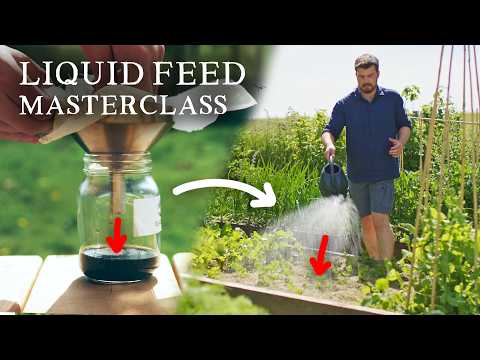 Boost Your Garden: DIY Liquid Feeds for Optimal Growth