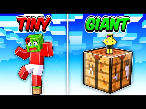 Giant vs Tiny Block Battle in Minecraft!!
