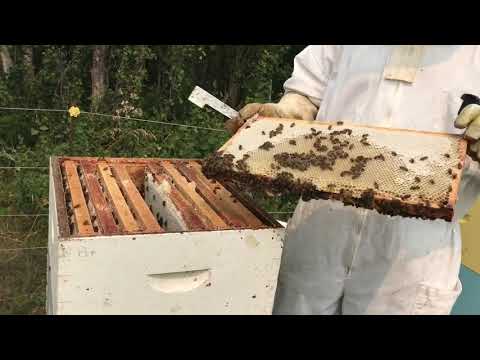Agriculture Service Board Tour:  Flint Farm Honey