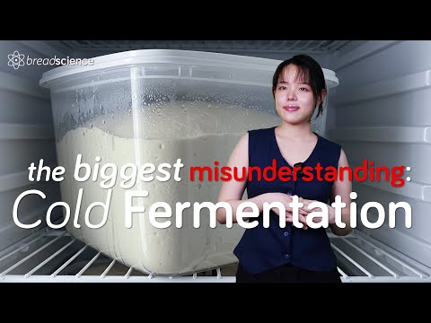 Are You Doing Cold Fermentation Wrong? | The 3-Hour Method for Bread and Pizza