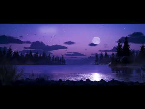 Loon Calls and Waves ASMR | Full Moon Lake Ambience