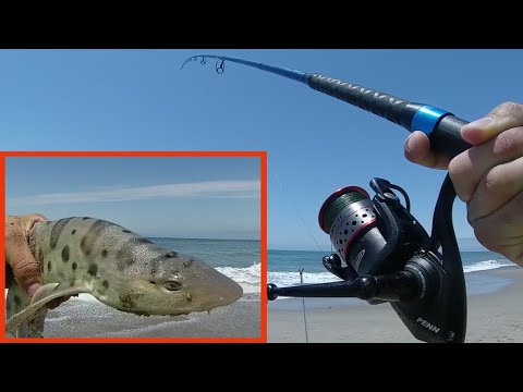 download lagu mp3 mp4 Okuma Cedros Surf Rod, download lagu Okuma Cedros Surf Rod gratis, unduh video klip Okuma Cedros Surf Rod