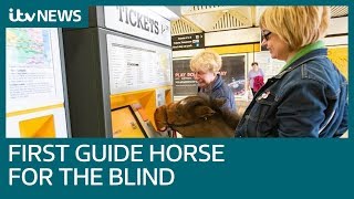 First guide horse for the blind comes to Britain | ITV News