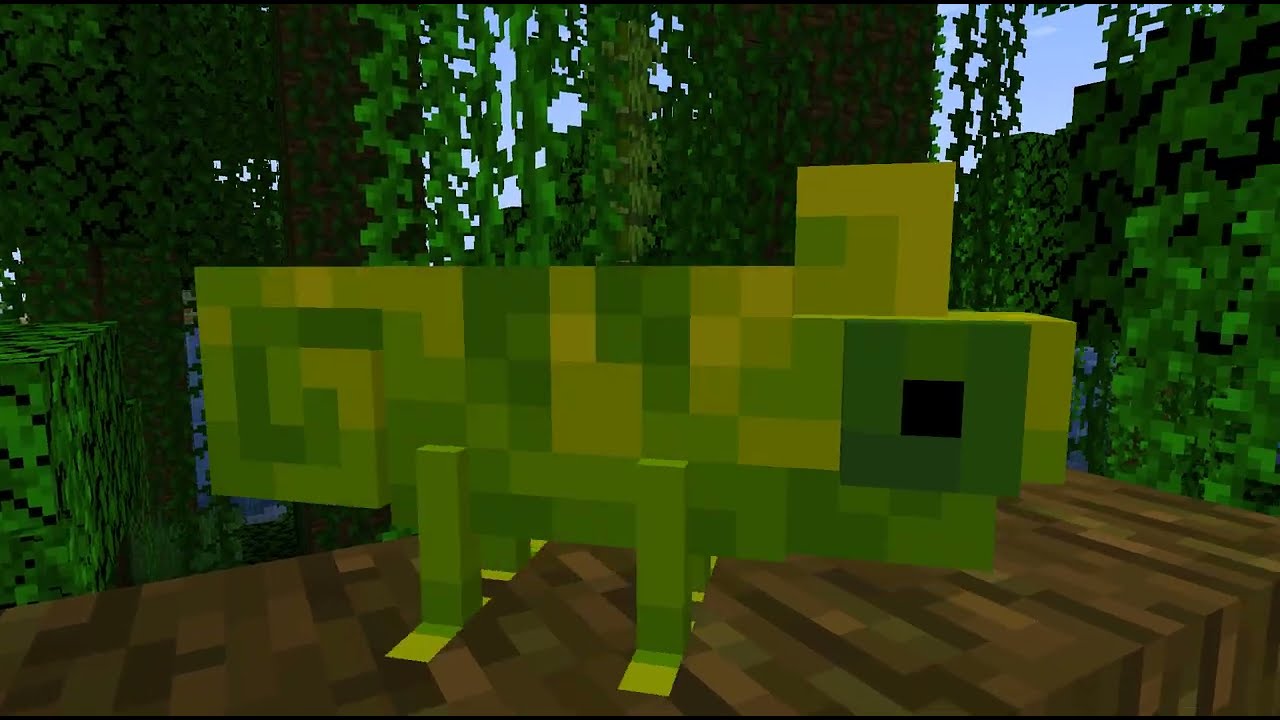 Zoo Architect Trailer