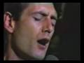 Peter Hammill - "Vision" - beautiful live version (1978)