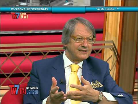 QUALE SENATO? - Tv7 con Voi 25/06/14 (2 di 3)