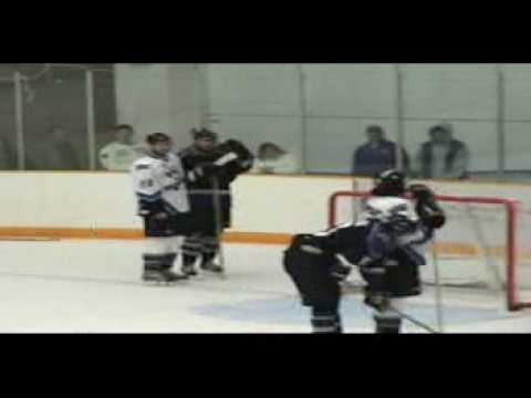 hockey fight Brawl1 uhl