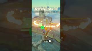 追撃の2本槍【ゼルダの伝説ティアーズオブザキングダム】