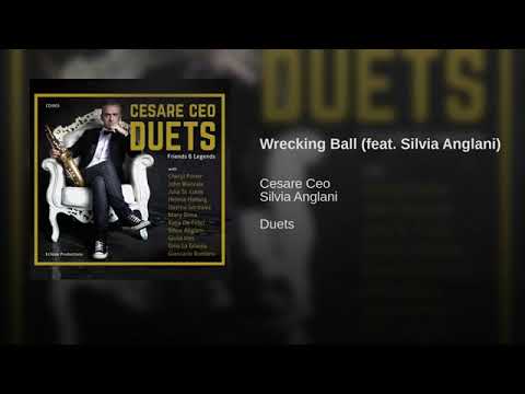 Wrecking Ball   Silvia Anglani + Cesare Ceo