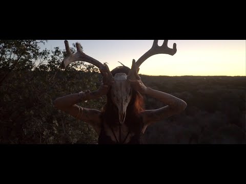 SWAYLÓ - Desert Flower (Official Music Video)