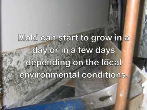 YouTube video about: How long to run fans after water damage?