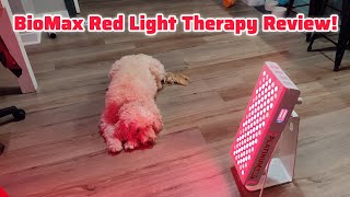 🚨 PlatinumLED BioMax 300 Review - What is Red Light Therapy? 🚨