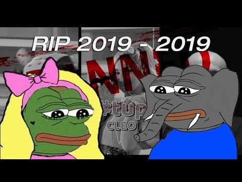 Cleo x Słoń: Wyjaśnienie (UWAGA WZRUSZAJĄCE!)