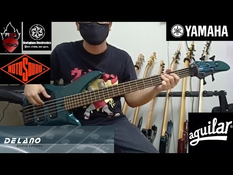 Aguilar DCB G5 Pickups + Delano Sonar 3 Preamp