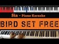 Sia - Bird Set Free - HIGHER Key (Piano Karaoke / Sing Along)