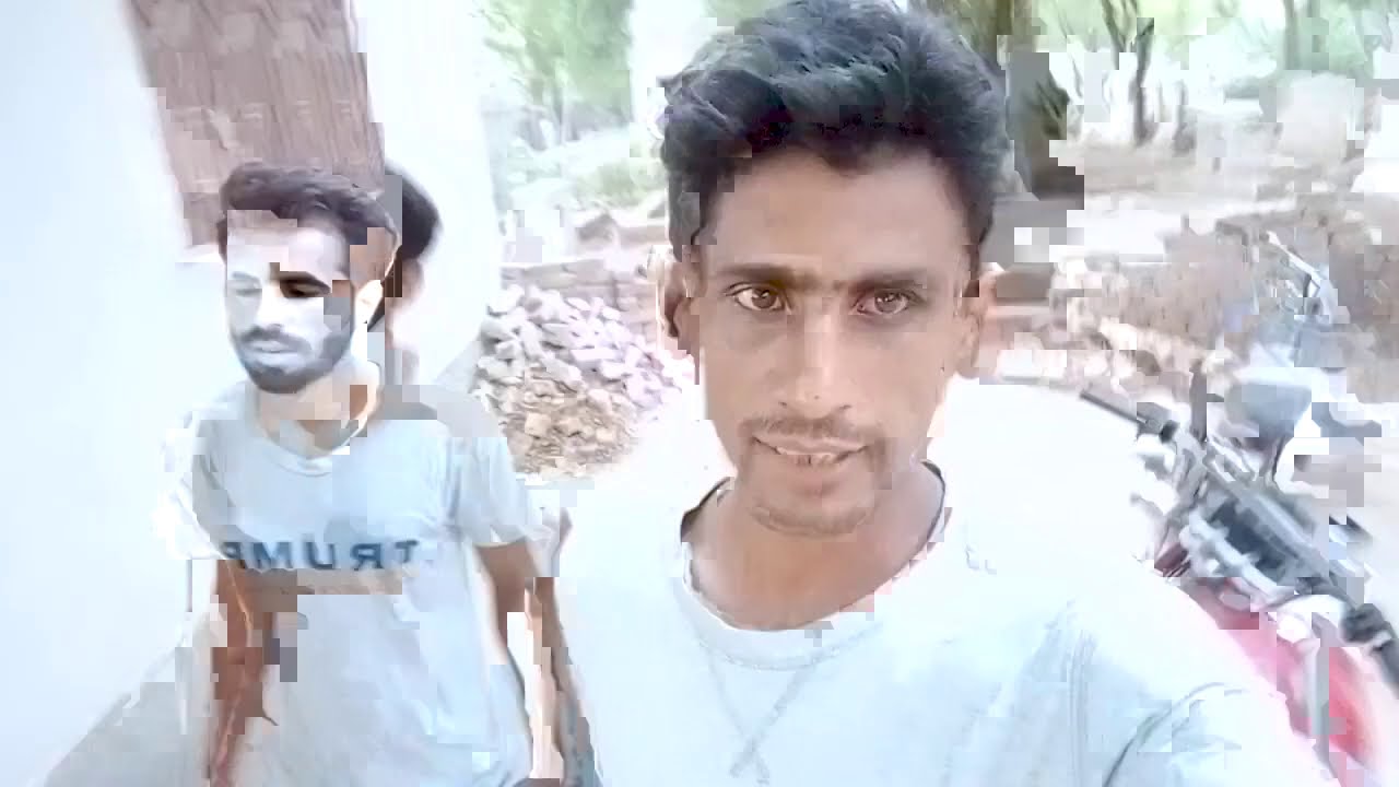 Snake rescue graveyard operation Pakistan