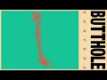 Butthole Surfers Sea Ferring 2024 Remaster Official Audio