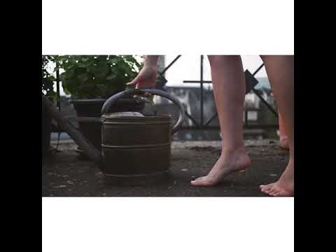 Zurich rooftop vibes