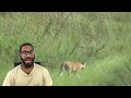 6 Tiger Encounters You Should Never Watch REACTION!!!!
