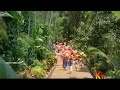 Poove Poove Ponnamma