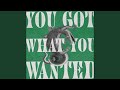 You Got What You Wanted