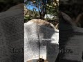 Sign and Miracle from GOD! Bible Found after Hurricane Helene!!! Opened on Revelation 14,15..