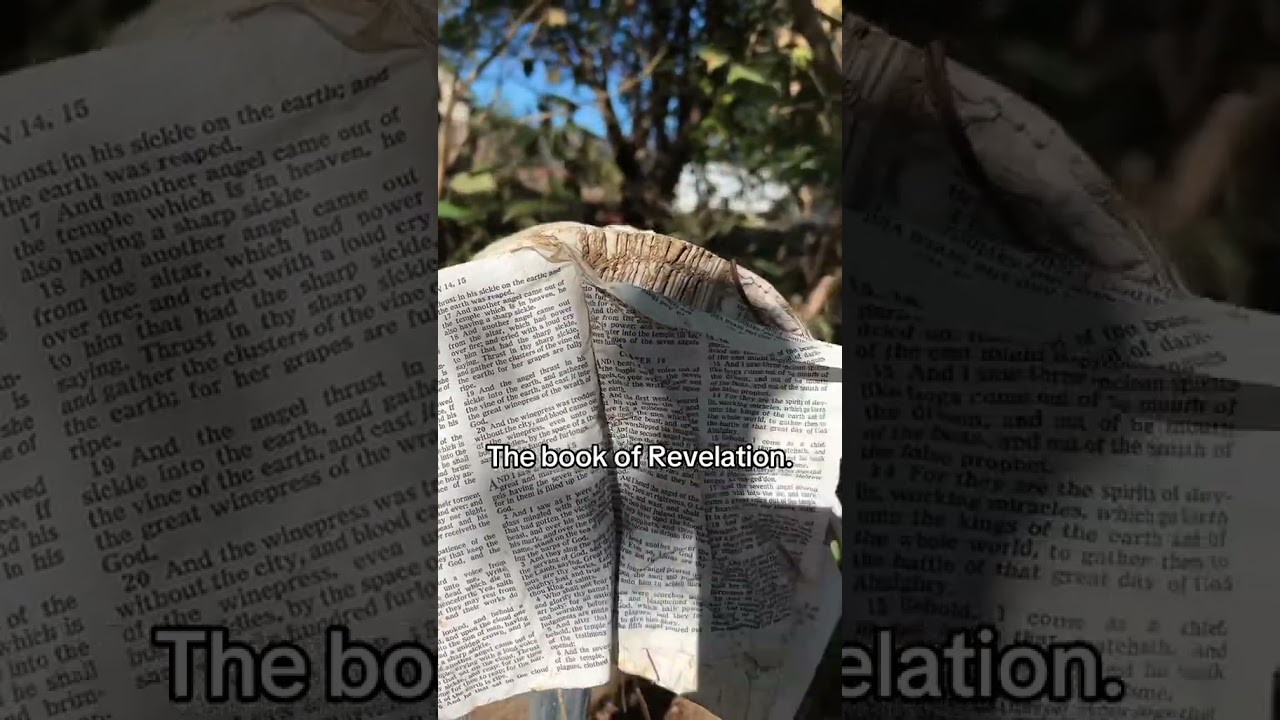 Sign and Miracle from GOD! Bible Found after Hurricane Helene!!! Opened on Revelation 14,15..