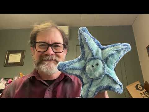 Dollar Store Children Sermons - January 18th, 2026 - 2nd Sunday after Epiphany - RCL