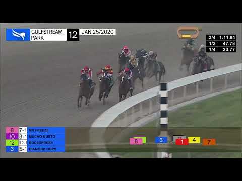 Mucho Gusto - 1st Pegasus World Cup Inv. (G1)