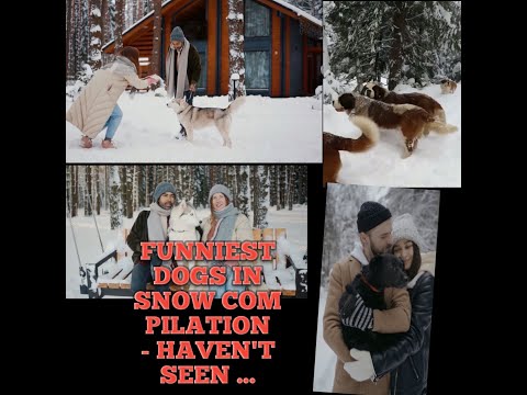 #FUNNIEST DOGS in SNOW COMPILATION