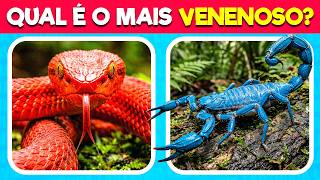 🐾 40 perguntas sobre animais que vão te surpreender! Quantas você consegue responder? #quiz #labquiz