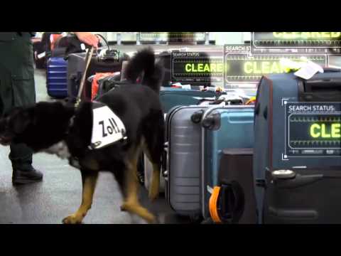 X-Ray Mega Airport: Drug Sniffing Dog