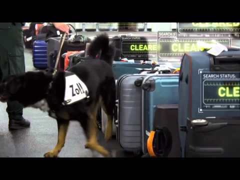 X線メガエアポート麻薬探知犬 (X-Ray Mega Airport: Drug Sniffing Dog)