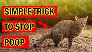 Stop Cats Pooping Instantly in Your Garden With This Simple Trick