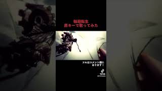 【輪廻転生】無名の高音系男子が原キーで歌ってみた! #shorts #輪廻転生 #高音系男子 #まふまふ #歌ってみた