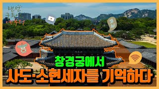 [2021 청춘문화 노리터] 6월 월간프로그램 ‘랜선 궁 투어 예부터’ 창경궁