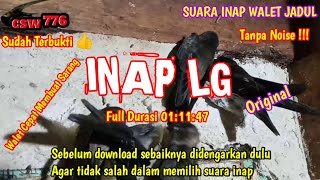 Download lagu SUARA INAP WALET SUPER RESPON || INAP LG ORIGINAL || SUARA INAP WALET JADUL BERKUALITAS mp3