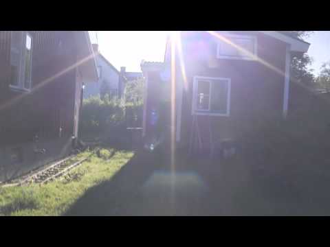 En rundvandring i trädgården