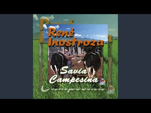 La Dueña de Mi Corazón