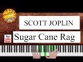 Sugar Cane Rag - SCOTT JOPLIN. 1908 Piano Rag