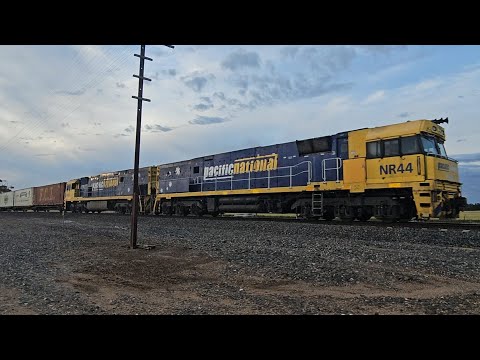 3PM7 PN up "Linfox Express #3" (NR44, NR65, 72P), Perth to Melbourne, 1940, 13/11/25, Murtoa W VIC