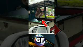 Download lagu MASA KECIL KURANG BAHAGIA II NGAKAK 😀😋 #funny #ngakak mp3