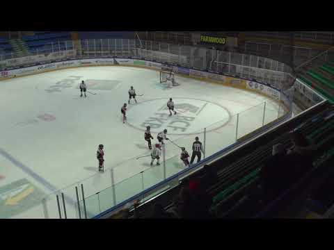 2019.12.04 U12 Cantonnale vs U13 TOP Gottéron