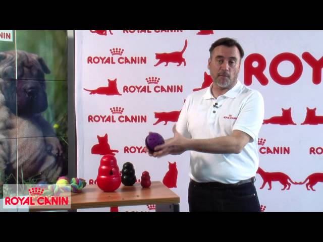 Vídeo relacionado con RUXAN Juguetes para Perros Indestructibles para Masticadores Agresivos - Juguetes Interactivos para Perros para la Distribución de Alimentos para Perros Pequeños/Medianos/Grandes