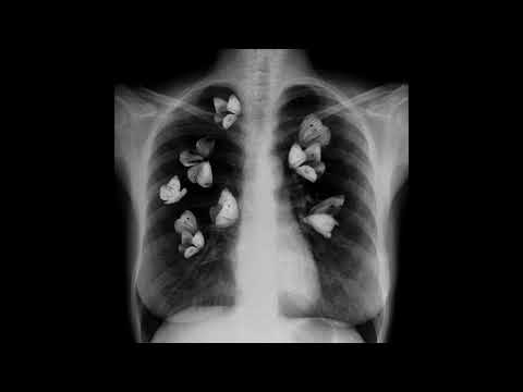 [FREE] SHAKEWELL x POUYA x RAMIREZ TYPE BEAT "BUTTERFLIES" (PROD. NEKK)