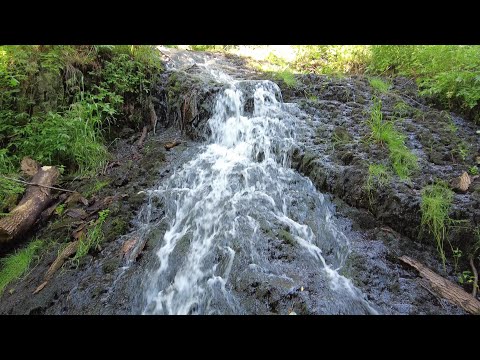 Přírodní památka Bobří soutěska