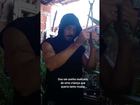 Boyka motivacional 🧠🙏