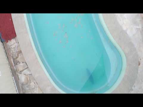 1 Copperfield Dr, Ambarvale NSW 2560, Australia